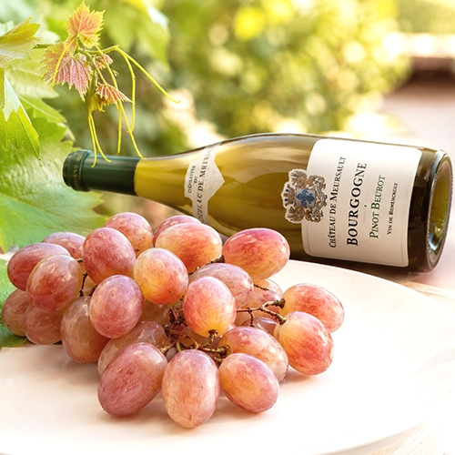 PINOT BEUROT